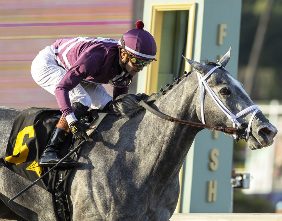 Sweet Azteca - Beholder Mile - Benoit Photo