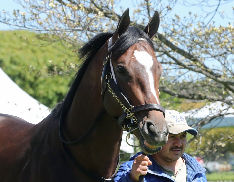 Timberlake - Oaklawn Park - Coady Photo