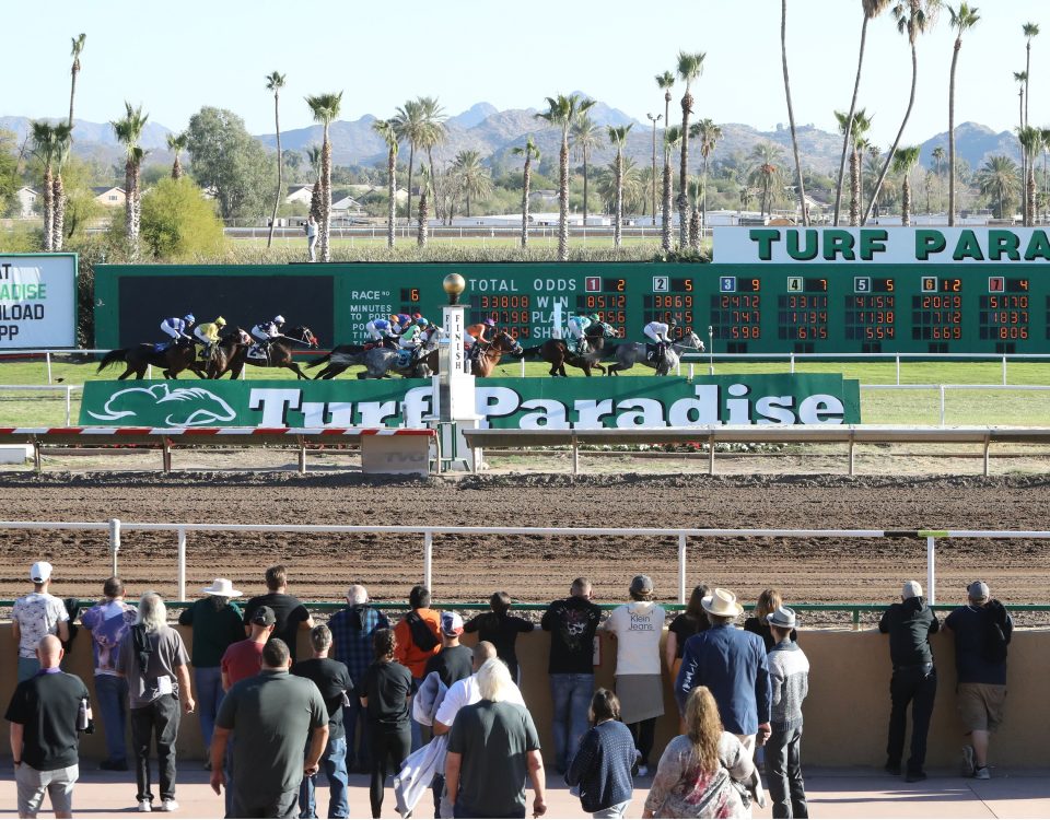 Turf Paradise Scenic - Coady Photo