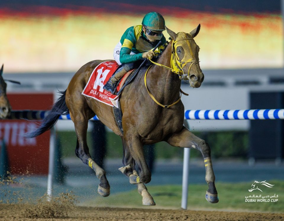 Ushba Tesoro - Dubai World Cup - Dubai Racing Media