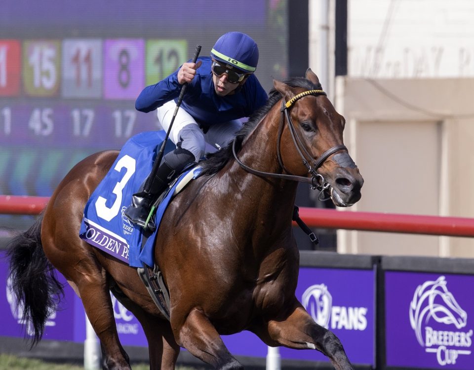 Breeders' Cup - Golden Pal - Barbara Livingston - DRF