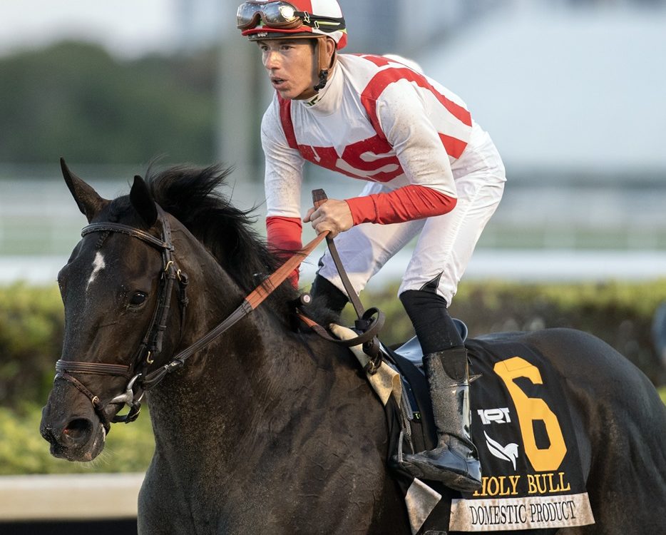 Domestic Product - Gulfstream Park - Barbara D. Livingston