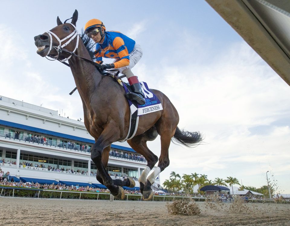 Fierceness - Florida Derby - Barbara Livingston - DRF