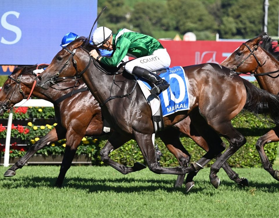 Manaal - Royal Randwick - Sky Racing World