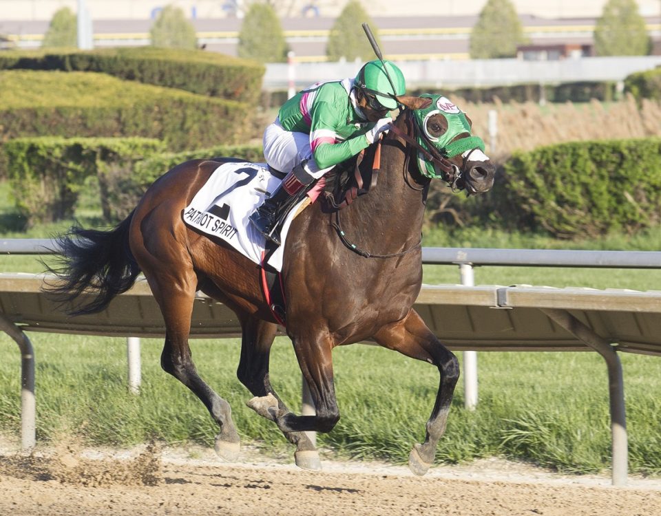 Patriot Spirit - Illinois Derby - Four Footed Photos