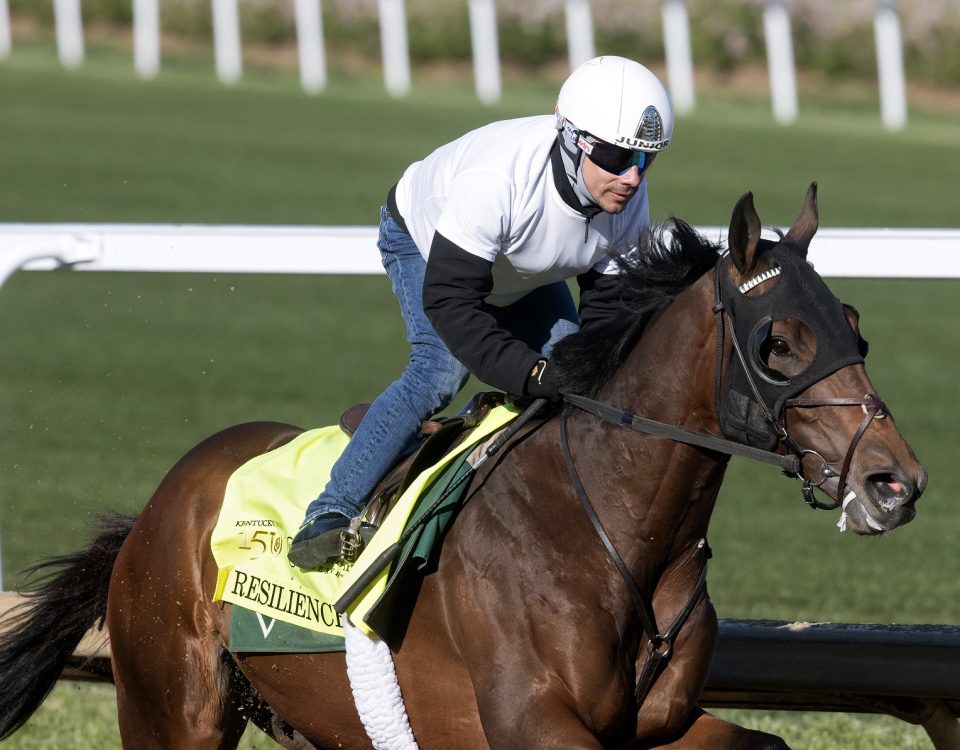 Resilience - Barbara Livingston - Daily Racing Form