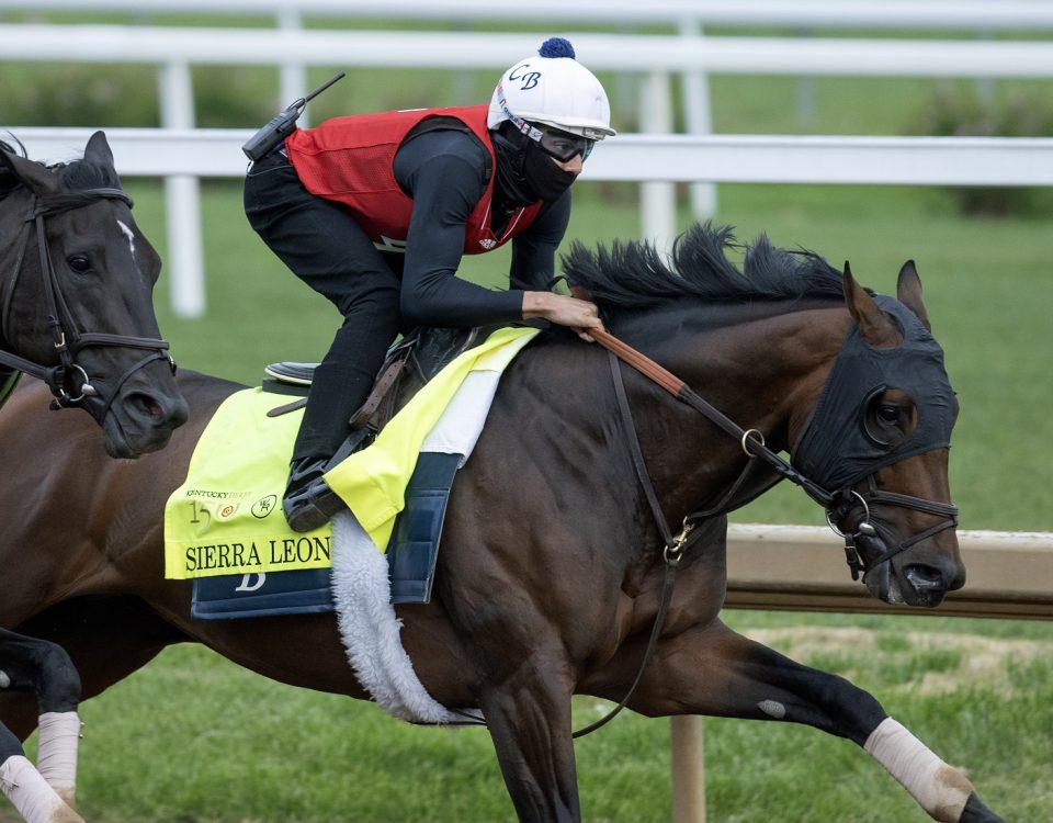 Sierra Leone - Barbara Livingston - Daily Racing Form