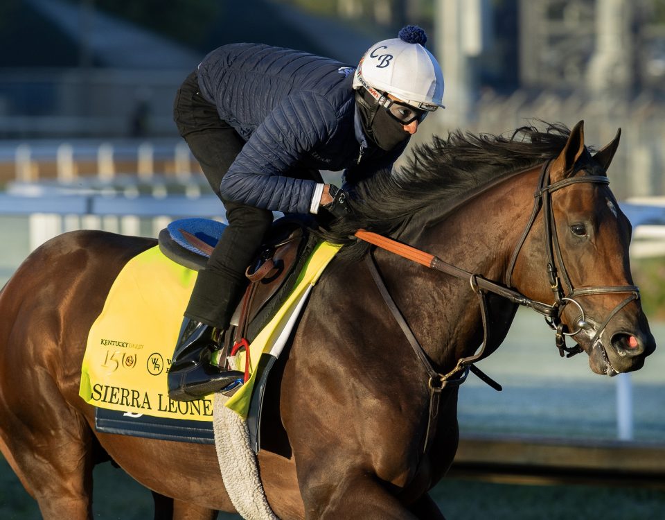 Sierra Leone - Barbara Livingston - Daily Racing Form