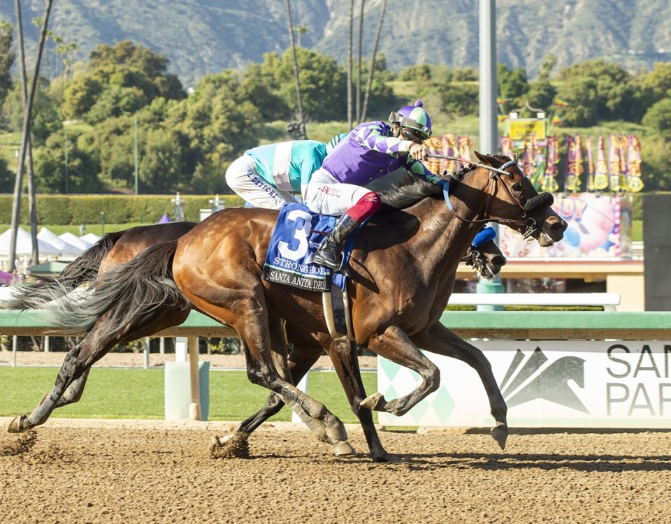 Stronghold - Santa Anita Derby - Benoit Photo