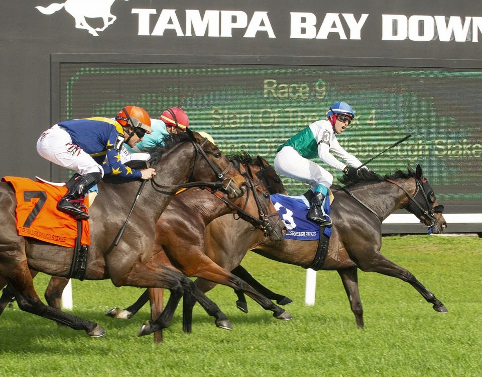 Tampa Bay Downs, March 9, 2024 - Tom Keyser photo - DRF