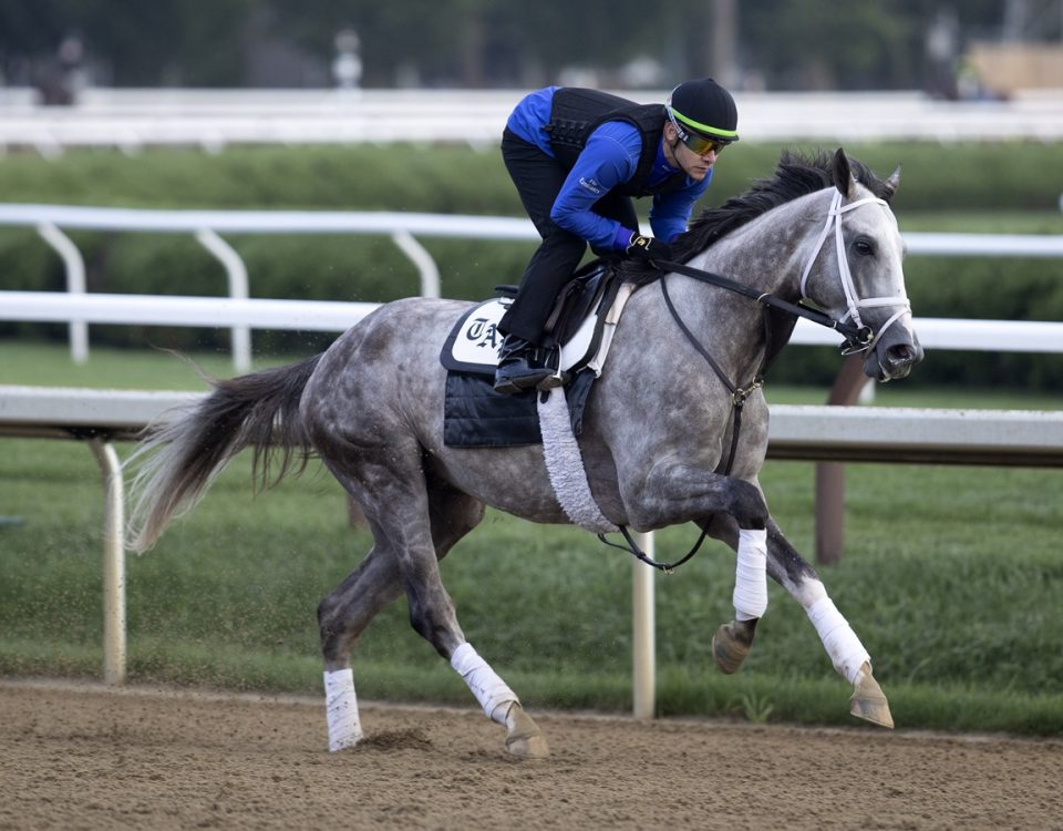 Tapit Trice - Barbara D. Livingston