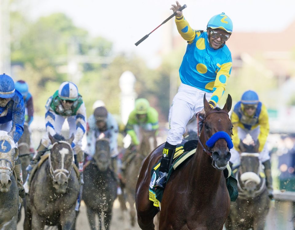 American Pharoah - Kentucky Derby 2015 - Michael Amoruso