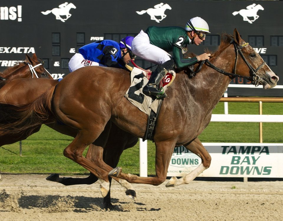 Chi Town Lady - Tom Keyser photo - DRF