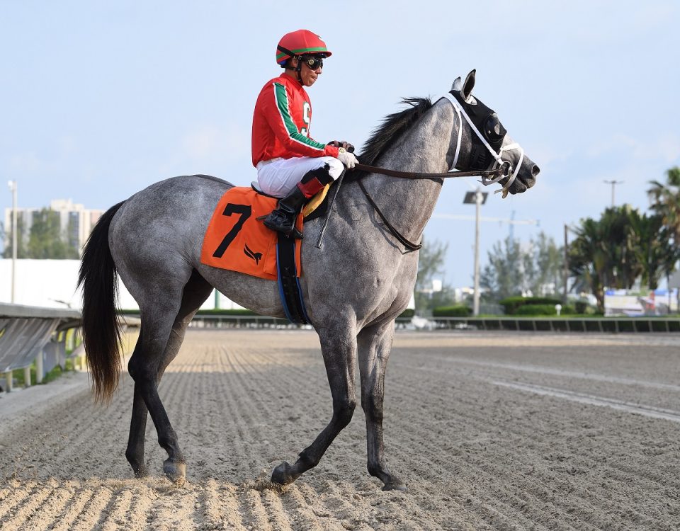 Gabaldon - Ryan Thompson - Coglianese Photo