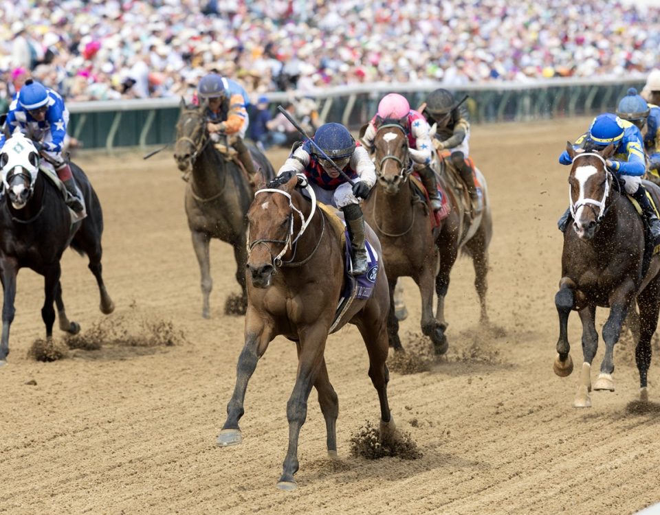 Gun Pilot - Churchill Downs S. - Barbara D. Livingston