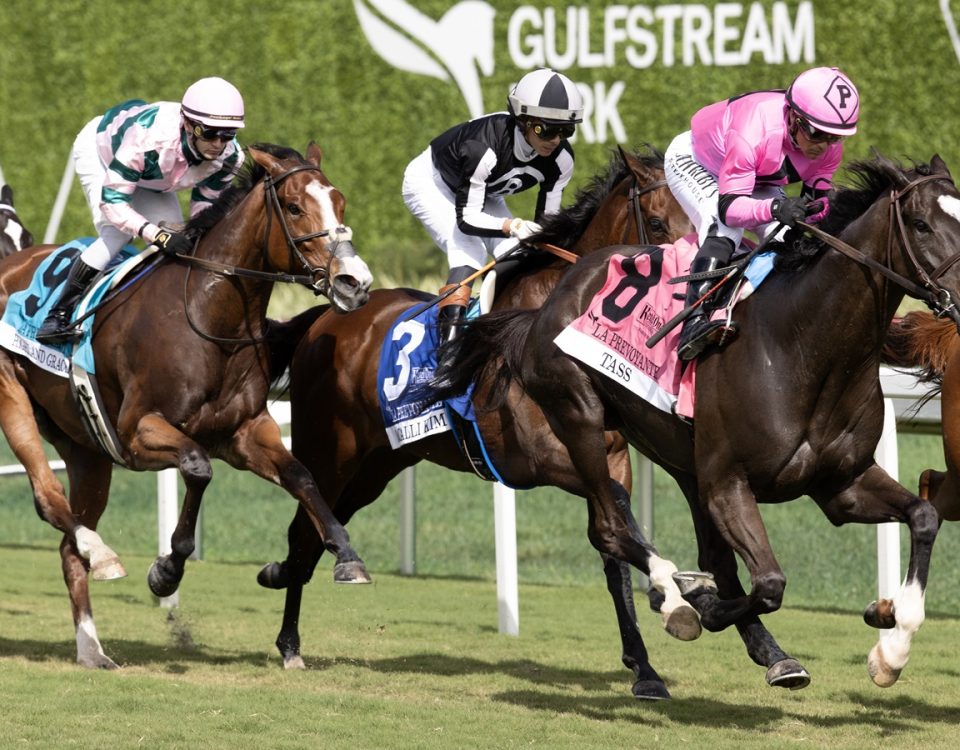 Gulfstream Park 1-27-24 - DRF Barbara Livingston