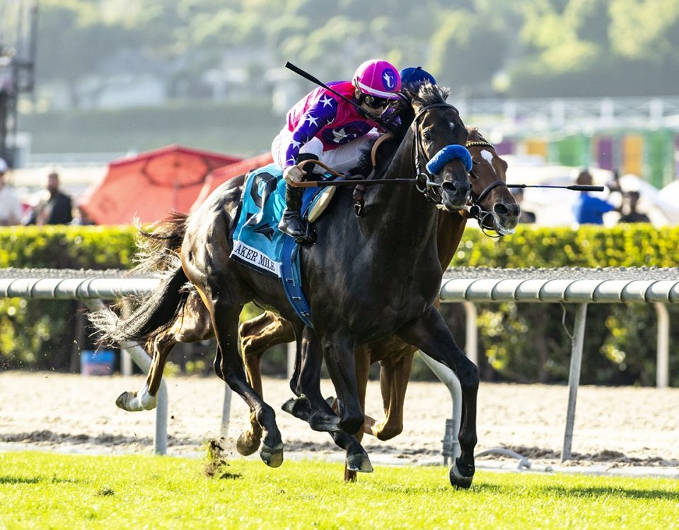 Johannes - Shoemaker Mile - Benoit Photo