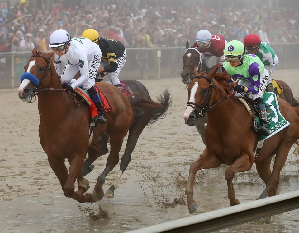 Justify - Preakness S. - Debra A. Roma