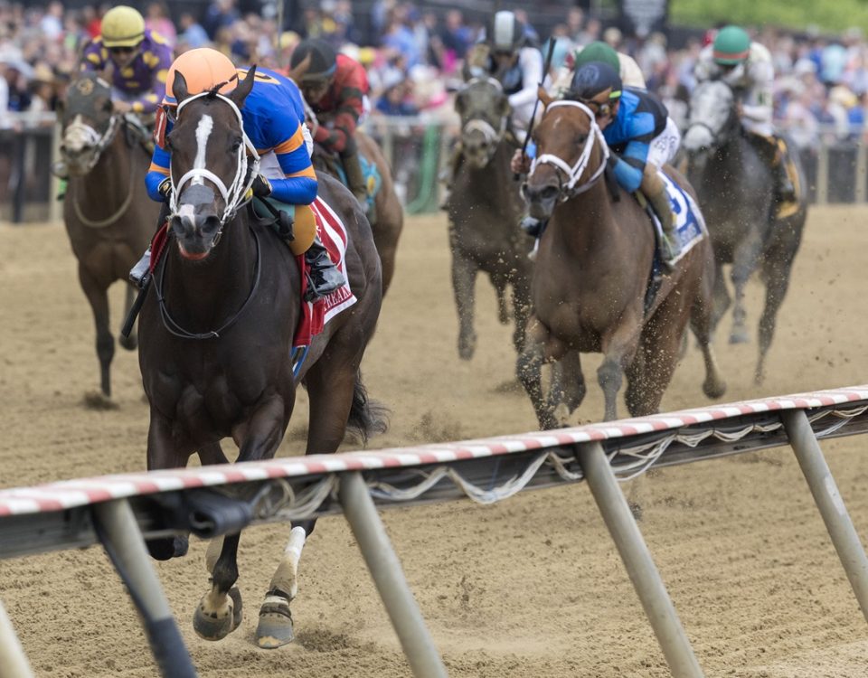 Mystic Lake - Miss Preakness S - DRF Barbara Livingston