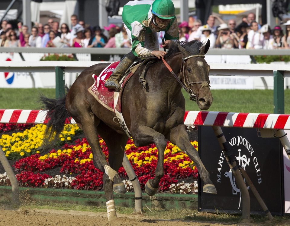 Royal Delta - BalckEyed Susan 2011 - foto Barbara Livingston DRF