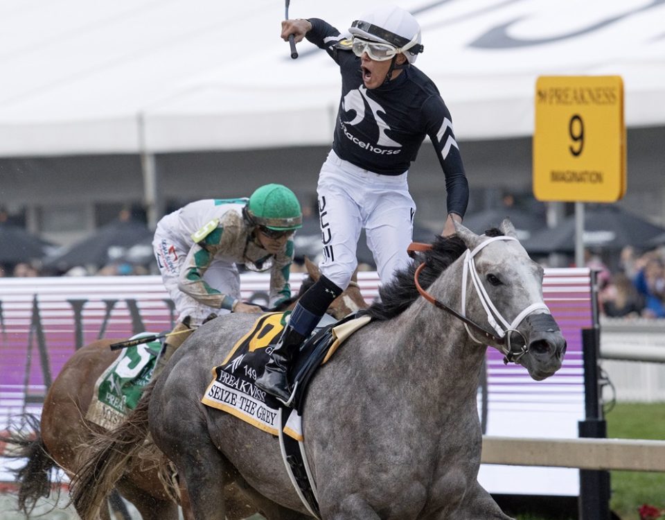 Seize the Grey - Preakness Stakes - DRF Barbara Livingston