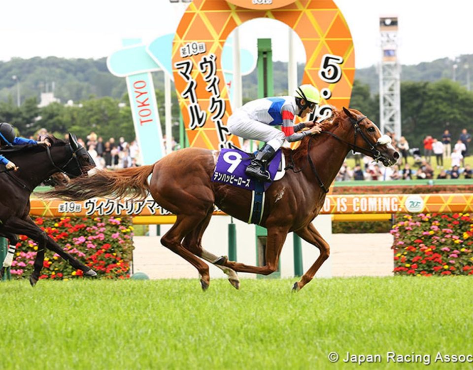 Ten Happy Rose - Victoria Mile - JRA Photo