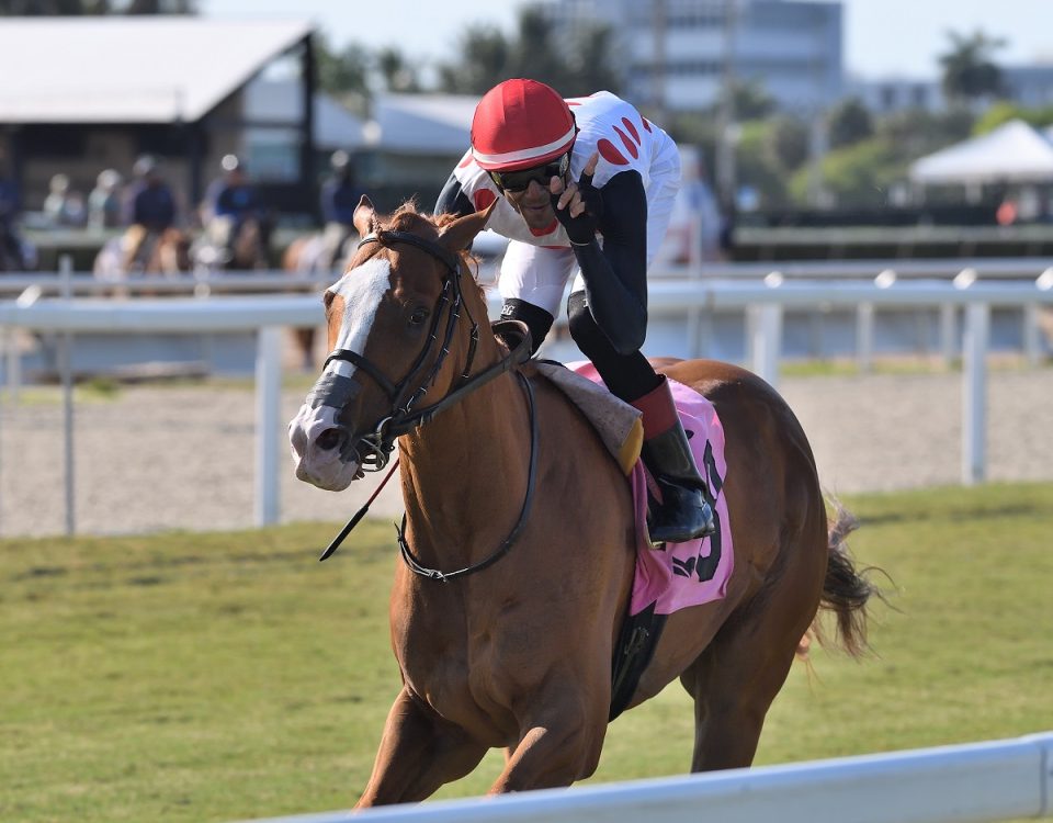 Win for the Money - Mr Steele S - Ryan Thompson - Coglianese Photo