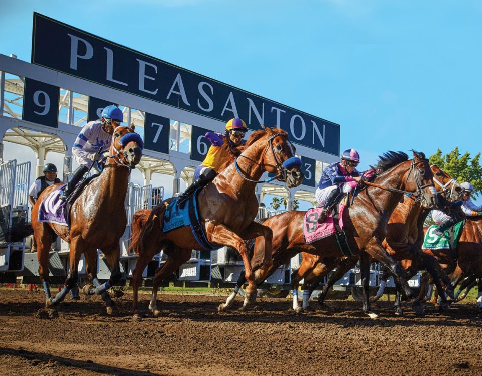 Pleasanton Action