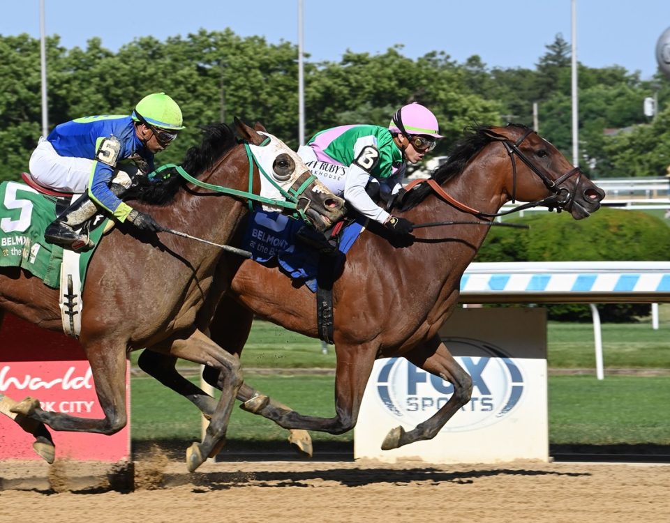 Accede - Bed o' Roses S. - Coglianese Photo