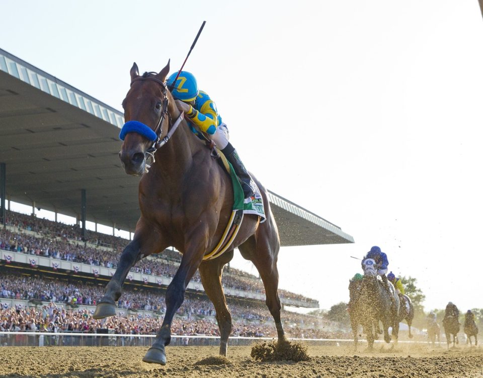 American Pharoah - Belmont Stakes - DRF Barbara Livingston