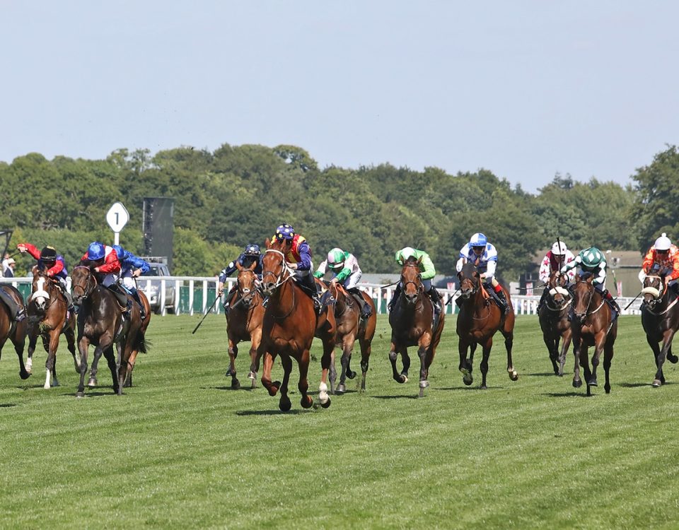 Ascot - Scenics - Emily Shields