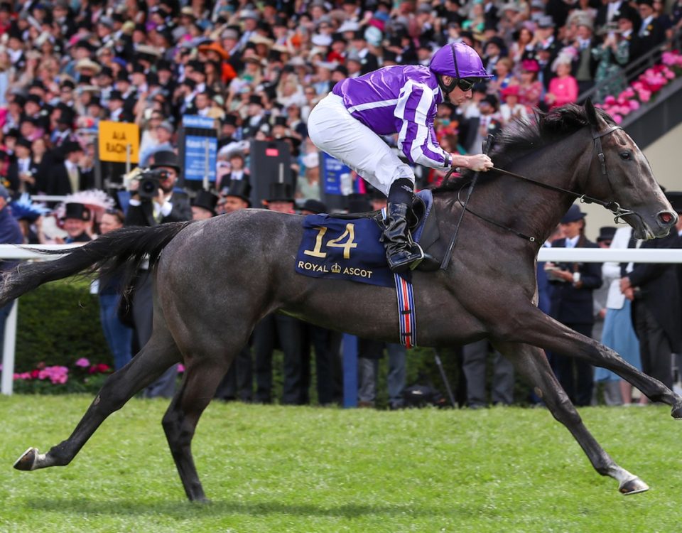 BedtimeStory - Chesham Stakes - Foto Ascot Media