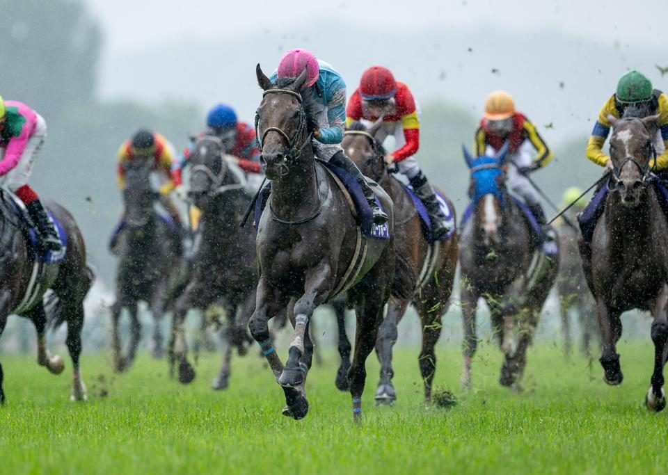 Blow the Horn - Takarazuka Kinen G1 - Japan Racing Association