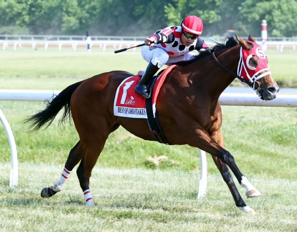 Brilliant Journey - Belterra Park - Coady Media