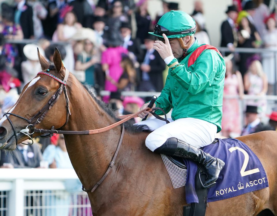 Calandagan after winning the King Edward VII Stakes (credit: Megan Coggin)