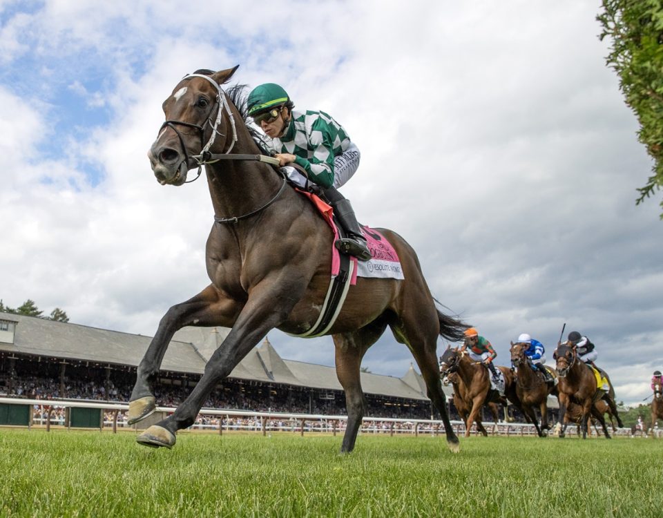 Cogburn - Jaipur Stakes - Barbara D. Livingston