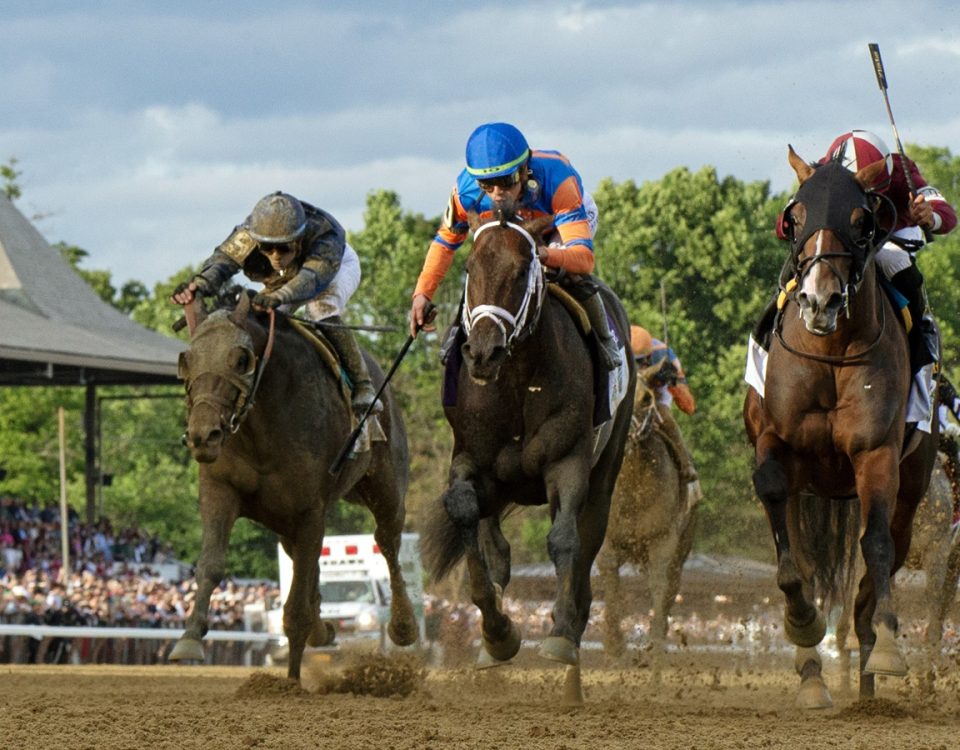 Dornoch - Belmont Stakes - DRF Barbara Livingston