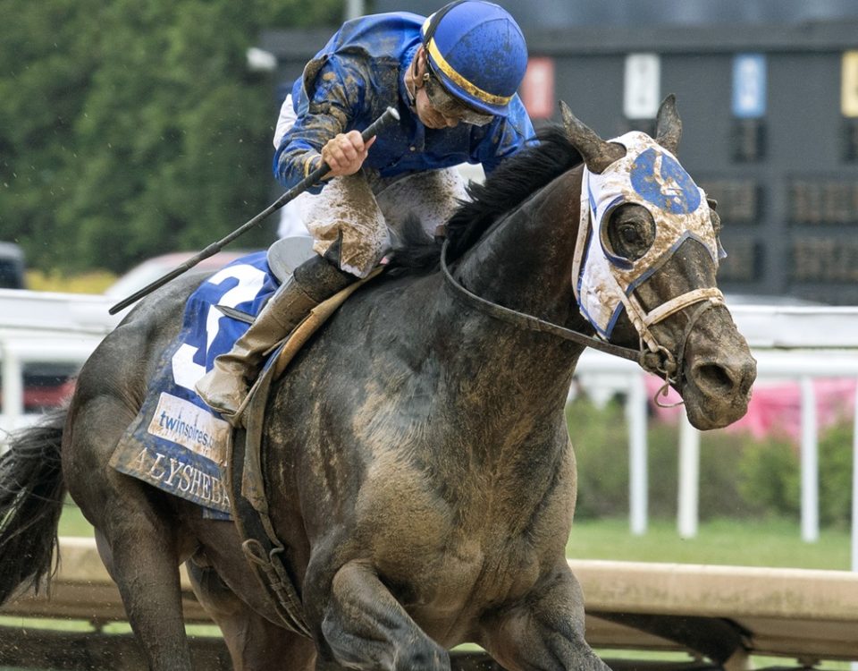 First Mission - Alysheba S - DRF Barbara Livingston