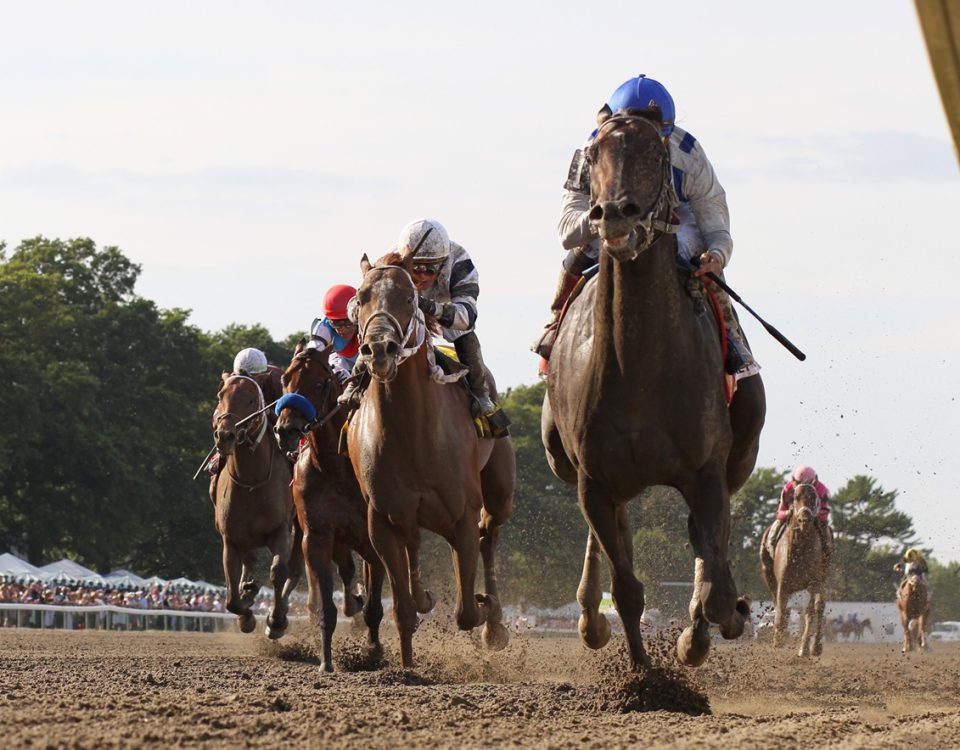 Geaux Rocket Ride - Haskell S. - Ryan Denver/EQUI-PHOTO