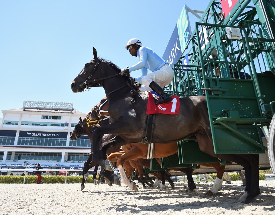 Gulfstream Park Start - Ryan Thompson Coglianese Photos