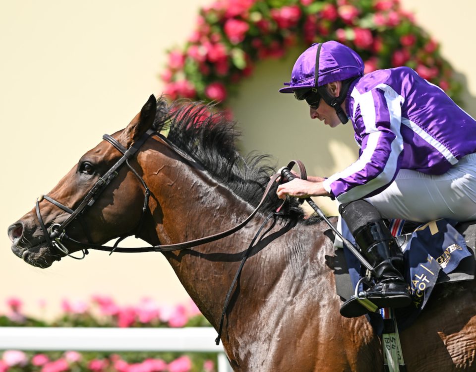 Illinois - Queen's Vase Stakes - Foto Ascot Media