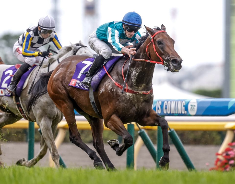 Romantic Warrior - Yasuda Kinen G1 - - foto Yuki Shimono