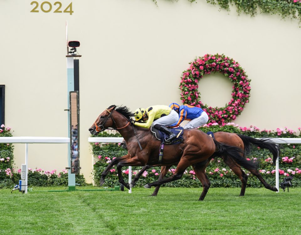 Rosallion - G1 St James’s Palace Stakes - foto credito Ascot Media.