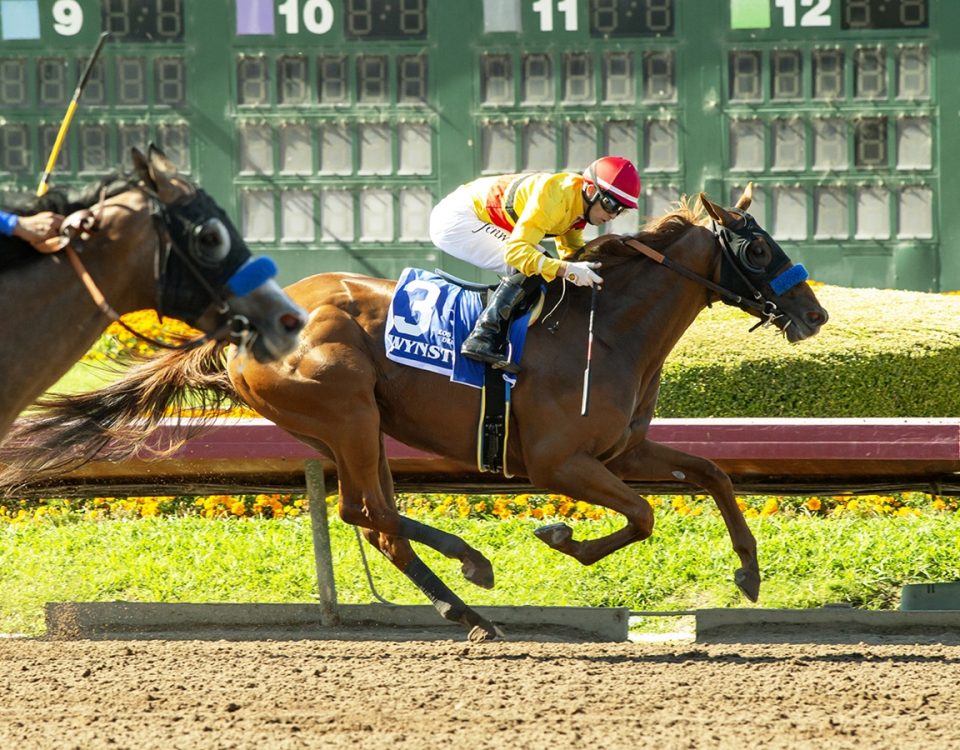 Wynstock - Los Alamitos Derby - Benoit Photo