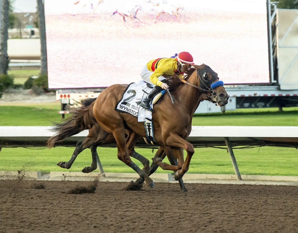 Wynstock - Los Alamitos Futurity - Benoit Photo