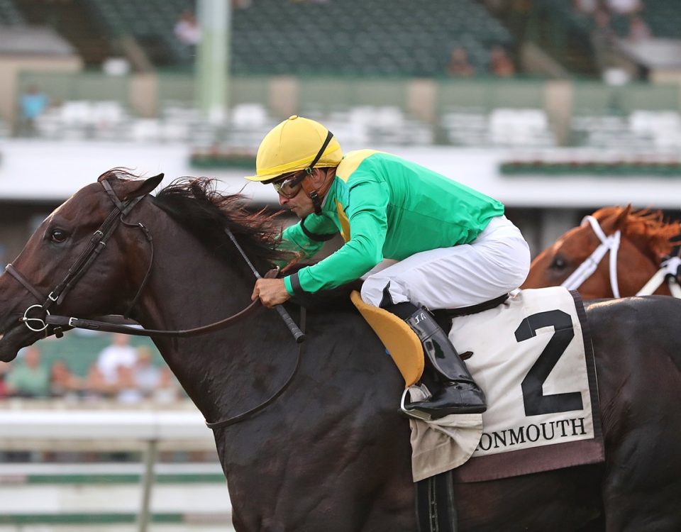 Apollo Ten - My Frenchman S. - Bill Denver/EQUI-PHOTO