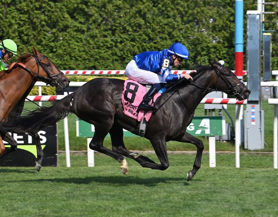 Cinderella’s Dream (GB) - Belmont Oaks Invitational G1 - Foto: Susie Raisher / Coglianese Photo