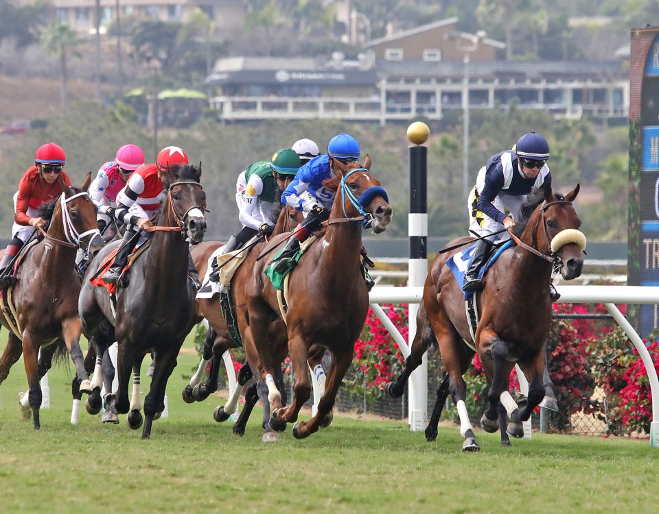 Del Mar Racing - Emily Shields