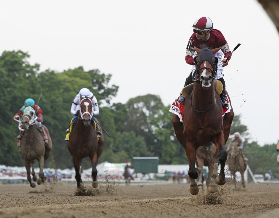 Dornoch - Haskell S. - Bill Denver EQUI-PHOTO