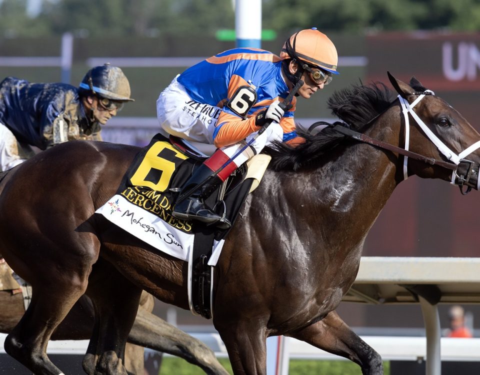 Fierceness - Jim Dandy Stakes G2 - DRF Barbara Livingston